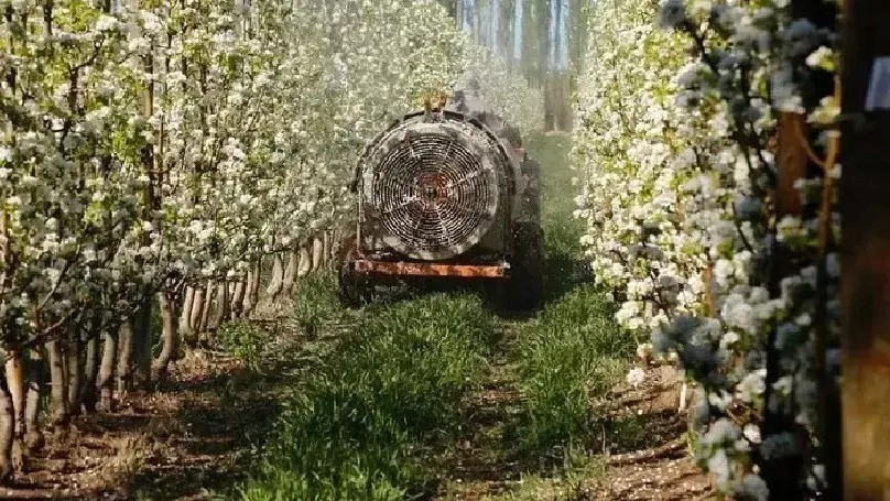 Millonario Financiamiento para Productores Frutícolas de Río Colorado