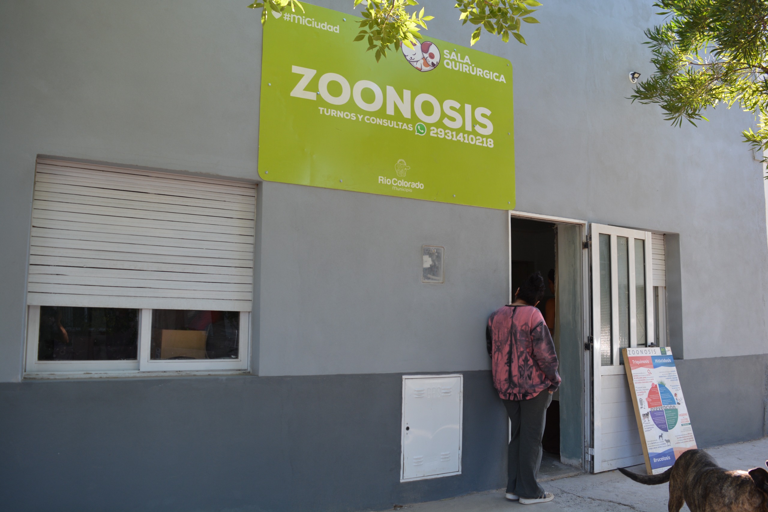 Trabajo coordinado y prevención: balance semestral de las acciones de zoonosis en la comarca