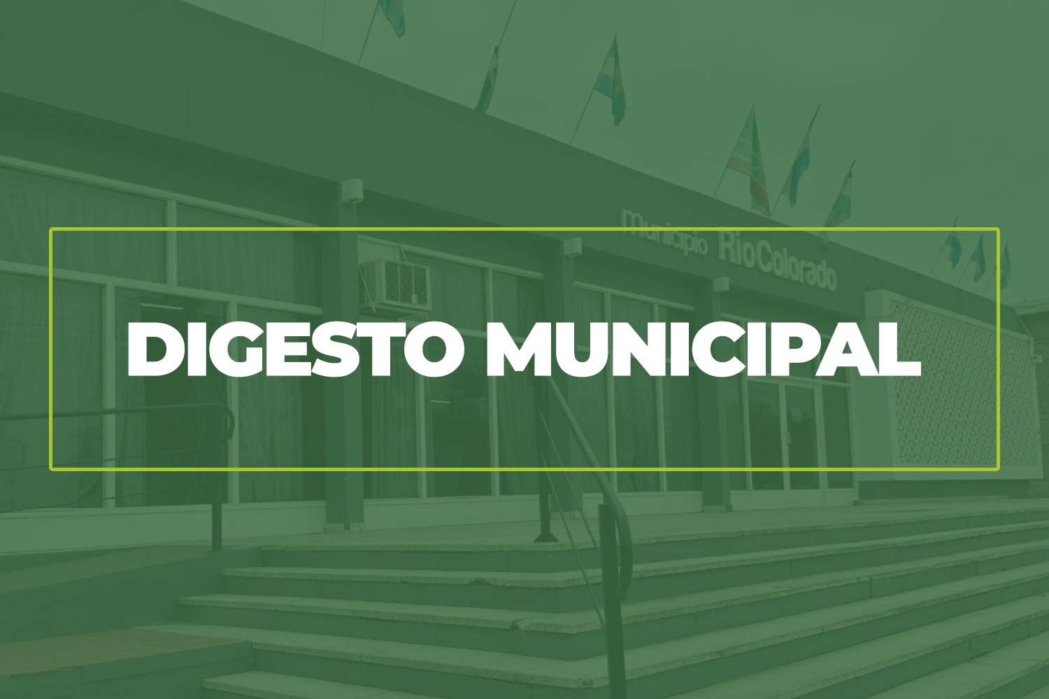 Río Colorado digitaliza sus ordenanzas y facilita el acceso a la normativa municipal